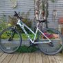 Carrera Crossfire Ladies Mountain bike Image 2