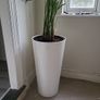 kentia planter Image 3