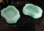 Glow in the dark- reptile feeding/ water