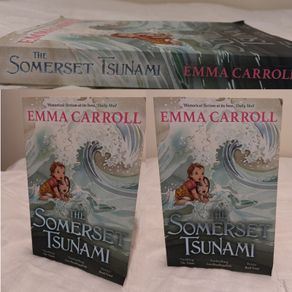 The Somerset tsunami by Emma Carroll