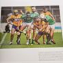 Limerick Back to Back  All Ireland Senior Hurling Champions 2020-2021 Image 6
