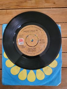 Stealers Wheel Everythingll Turn Out Fine 7 inch Vinyl Single 1973 A and M AMS 7079