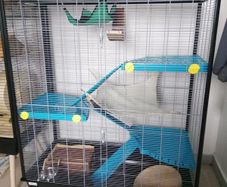 Savic Rat Cage