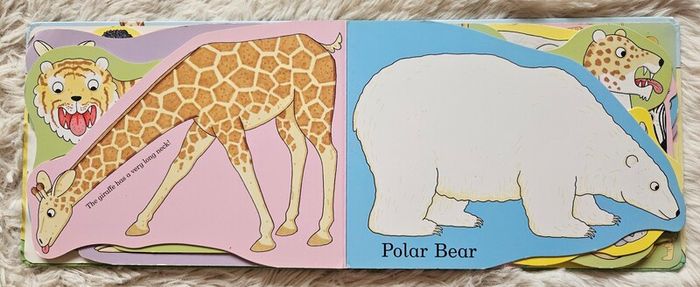 My Zoo by Rod Campbell