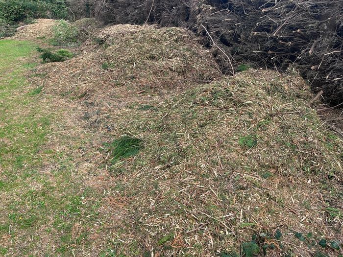 Bark Mulch
