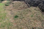 Bark Mulch