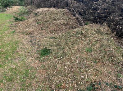 Bark Mulch
