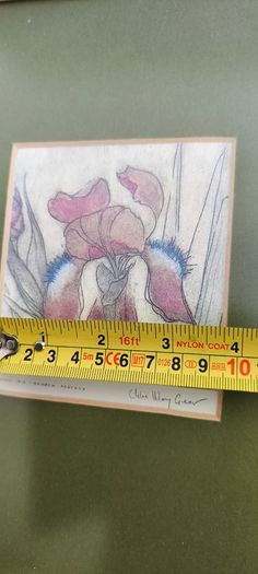 FRAMED DETAIL IRIS RAINBOW FANTASY penceled and coloered signed by artist .