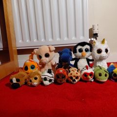 TY teddies