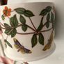 Portmeirion Botanic Garden Set of 3 Teacups - Drum Shape - Heartsease Pimpernel Broom Image 6