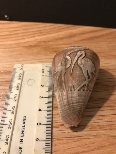 1900's Hand Carved Storks on Sea Shell