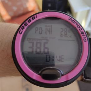 Cressi Donatello personal dive computer