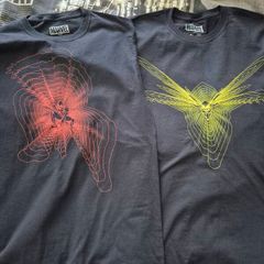 Ant-Man and the Wasp T-shirt set