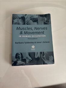 Muscles nerves and movement