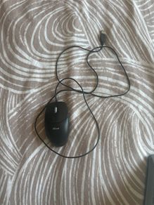 mouse