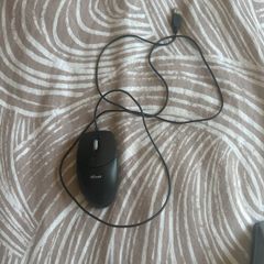 mouse