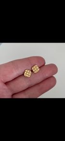 Stainless steel earrings