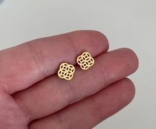 Stainless steel earrings