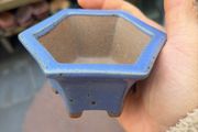 bonsai pot