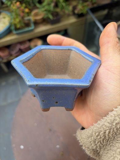 bonsai pot