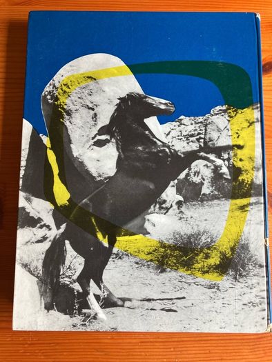 Vintage annual: 'Champion The Wonder Horse' annual 1957