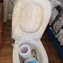 Toilet and sink Image 4