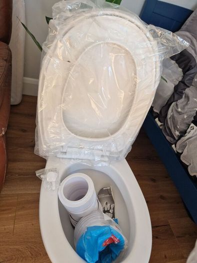 Toilet and sink
