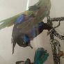 Taxidermy Bird Diorama Image 5