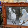 Vintage Equestrian Picture Image 3