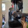 Juicer Ninja. Excellent condition Image 4