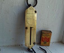 Salter Spring Balance Pocket Scale