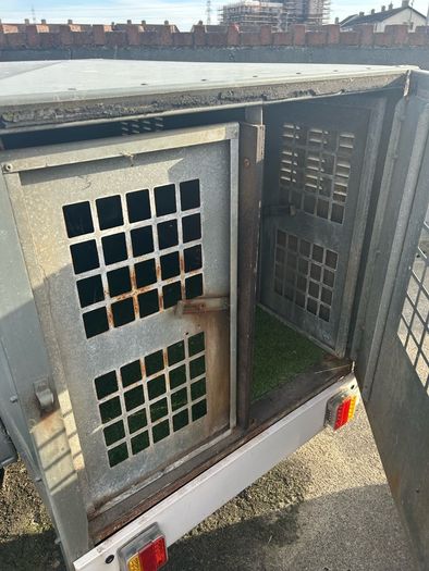 dog trailer