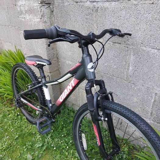 Giant XTC JR 24" wheel kids bike - kids aged 7-12 years old - Mountain bike - Fully serviced