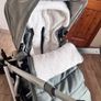 Buggy Image 7