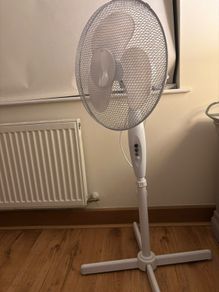 fan