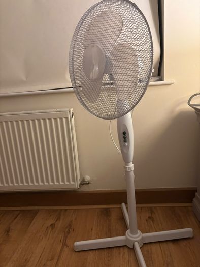 fan