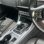 jaguar for breaking Image 6
