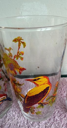 Vintage Set of 1960's Arcoroc Luminarc Exotic Bird Tumblers