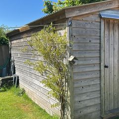 Shed 16ft x 8ft custom made.