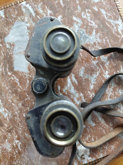 Vintage military field binoculars