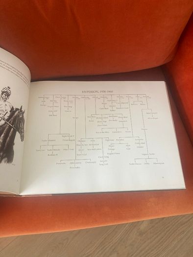 Book - 1st Edition - "Classic Lines: A Gallery of the Great Thoroughbreds"