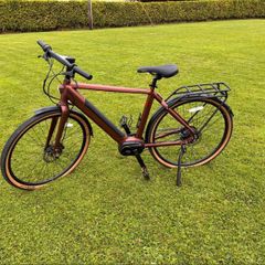 Kuma electric bike