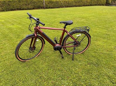 Kuma electric bike