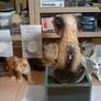 dog figurine Image 5