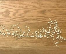 M&S Pearl Garland