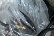 Honda stator