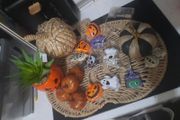 pumpkin Halloween bundle