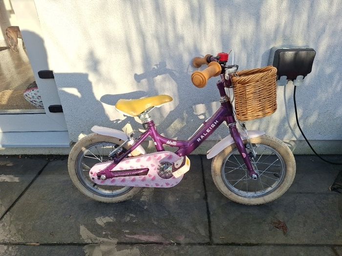 Raleigh Molli 14"