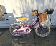 Raleigh Molli 14"