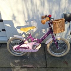 Raleigh Molli 14"